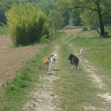 فندق مبيت وإفطار Viella Vacances