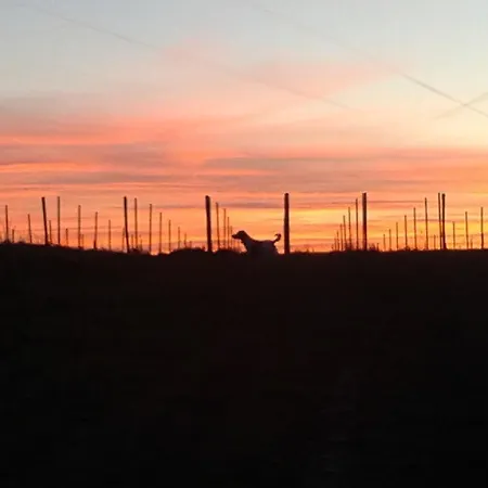 فندق مبيت وإفطار Viella Vacances