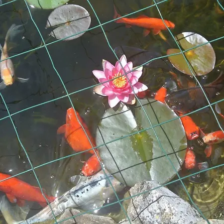 Viella Vacances 3* Viella (Gers)