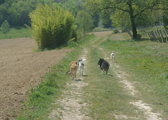 Frühstückspension Viella Vacances