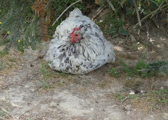 Frühstückspension Viella Vacances Viella (Gers)