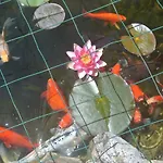 Viella Vacances 3* Viella (Gers)