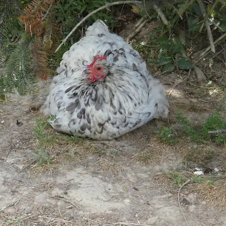 Bed and Breakfast Viella Vacances Viella (Gers)