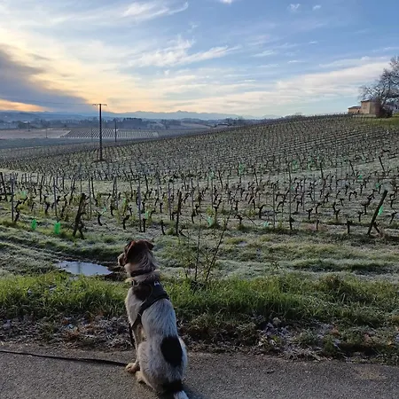 Bed and Breakfast Viella Vacances