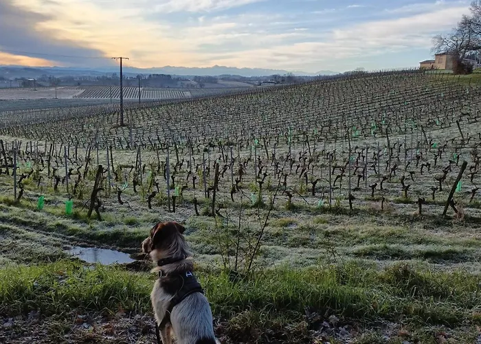 Frühstückspension Viella Vacances