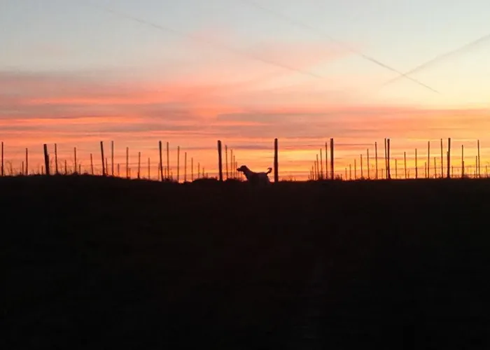 Frühstückspension Viella Vacances