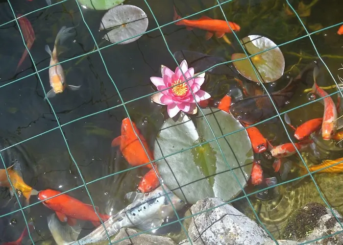 Viella Vacances 3* Viella (Gers)