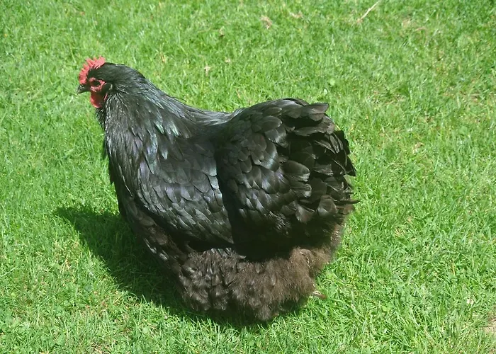 Viella Vacances 3* Viella (Gers)